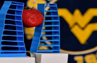 Soft robot picks fruit without damage