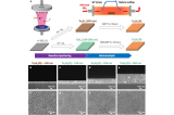 Ultrathin Photoanodes Power Solar Hydrogen